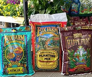Seven Oaks Plant Shop