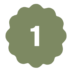 Icon 1