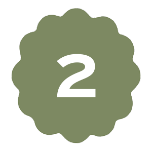 Icon 2