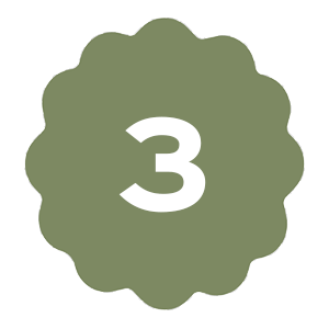 Icon 3