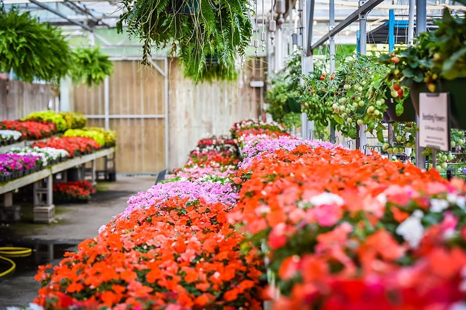 Seven Oaks Plant Shop